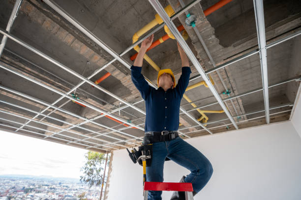Best Clogged Drain Plumber  in Wellington, FL